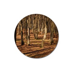 Wood Shadows Magnet 3  (round) by trendistuff