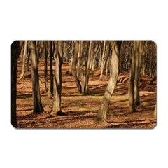 Wood Shadows Magnet (rectangular) by trendistuff