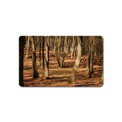 Wood Shadows Magnet (name Card) by trendistuff