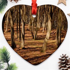 Wood Shadows Heart Ornament (2 Sides) by trendistuff