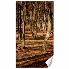 Wood Shadows Canvas 40  X 72  