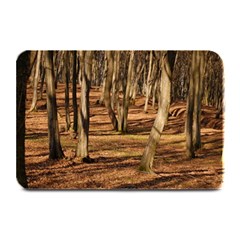 Wood Shadows Plate Mats by trendistuff