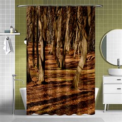 Wood Shadows Shower Curtain 48  X 72  (small) 