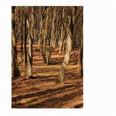 Wood Shadows Large Garden Flag (two Sides)