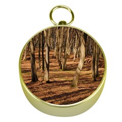 Wood Shadows Gold Compasses by trendistuff