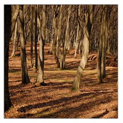 Wood Shadows Large Satin Scarf (square)