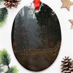 Twilight Road Ornament (oval)  by trendistuff