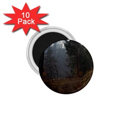 Twilight Road 1 75  Magnets (10 Pack)  by trendistuff