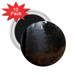 Twilight Road 2 25  Magnets (10 Pack)  by trendistuff