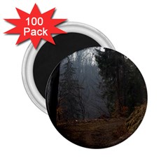 Twilight Road 2 25  Magnets (100 Pack) 