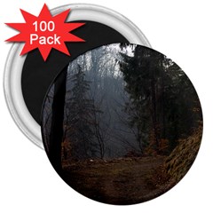 Twilight Road 3  Magnets (100 Pack) by trendistuff