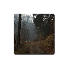 Twilight Road Square Magnet by trendistuff