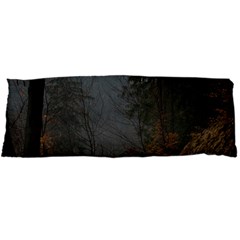 Twilight Road Body Pillow Cases Dakimakura (two Sides) 