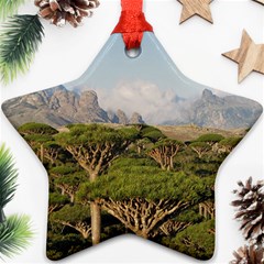 Socotra, Yemen Ornament (star)  by trendistuff