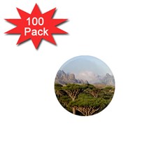 Socotra, Yemen 1  Mini Magnets (100 Pack)  by trendistuff