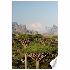 Socotra, Yemen Canvas 20  X 30   by trendistuff