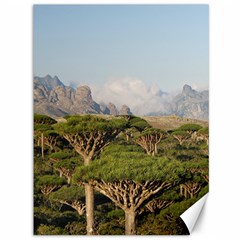 Socotra, Yemen Canvas 36  X 48   by trendistuff