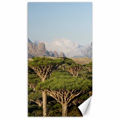 Socotra, Yemen Canvas 40  X 72  