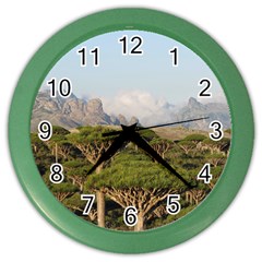 Socotra, Yemen Color Wall Clocks by trendistuff