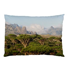 Socotra, Yemen Pillow Cases