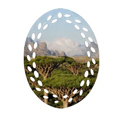 Socotra, Yemen Oval Filigree Ornament (2-side) 