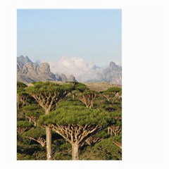 Socotra, Yemen Small Garden Flag (two Sides) by trendistuff