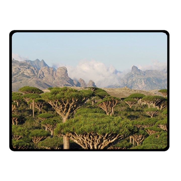 SOCOTRA, YEMEN Double Sided Fleece Blanket (Small) 