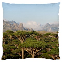 Socotra, Yemen Large Flano Cushion Cases (one Side) 