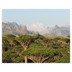 Socotra, Yemen Double Sided Flano Blanket (medium)  by trendistuff