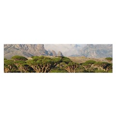 Socotra, Yemen Satin Scarf (oblong)