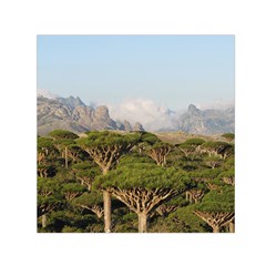 Socotra, Yemen Small Satin Scarf (square) 