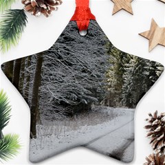 Snow On Road Star Ornament (two Sides)  by trendistuff