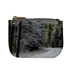 Snow On Road Mini Coin Purses by trendistuff