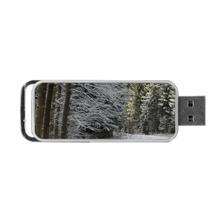 SNOW ON ROAD Portable USB Flash (One Side)