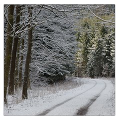 Snow On Road Large Satin Scarf (square) by trendistuff