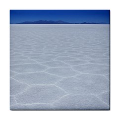 Salt Flats Tile Coasters by trendistuff