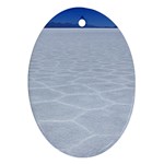 SALT FLATS Oval Ornament (Two Sides) Front