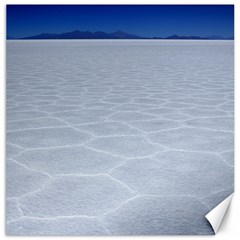 Salt Flats Canvas 20  X 20   by trendistuff