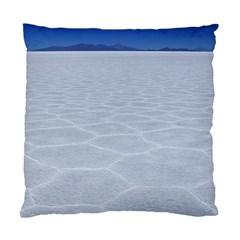 Salt Flats Standard Cushion Cases (two Sides)  by trendistuff