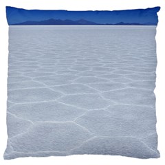 Salt Flats Large Cushion Cases (two Sides)  by trendistuff