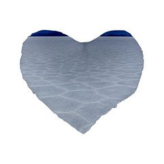 Salt Flats Standard 16  Premium Heart Shape Cushions by trendistuff