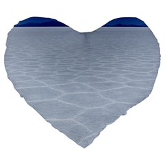 Salt Flats Large 19  Premium Heart Shape Cushions