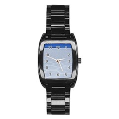 Salt Flats Stainless Steel Barrel Watch