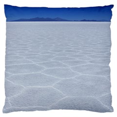 Salt Flats Large Flano Cushion Cases (one Side) 