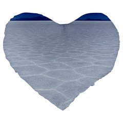 Salt Flats Large 19  Premium Flano Heart Shape Cushions