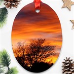 ORANGE SUNSET Ornament (Oval) 