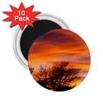 ORANGE SUNSET 2.25  Magnets (10 pack) 