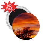 ORANGE SUNSET 2.25  Magnets (100 pack) 