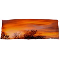 Orange Sunset Body Pillow Cases (dakimakura)  by trendistuff