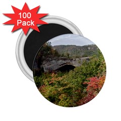 Natural Arch 2 25  Magnets (100 Pack)  by trendistuff